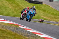 Advanced Group Blue Bikes